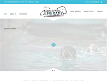Tablet Screenshot of equinesaltwatertherapy.com